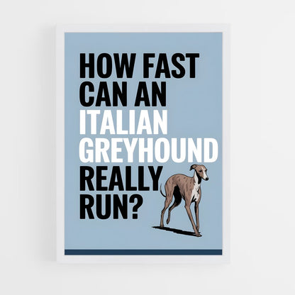 ap-greyhound speed records-1 cadre Blanc