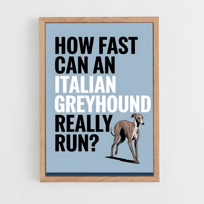 ap-greyhound speed records-1 cadre Bois clair