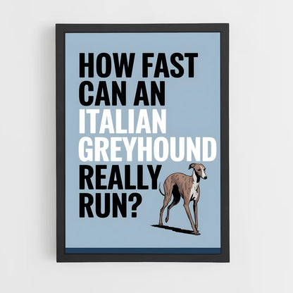 ap-greyhound speed records-1 cadre Noir