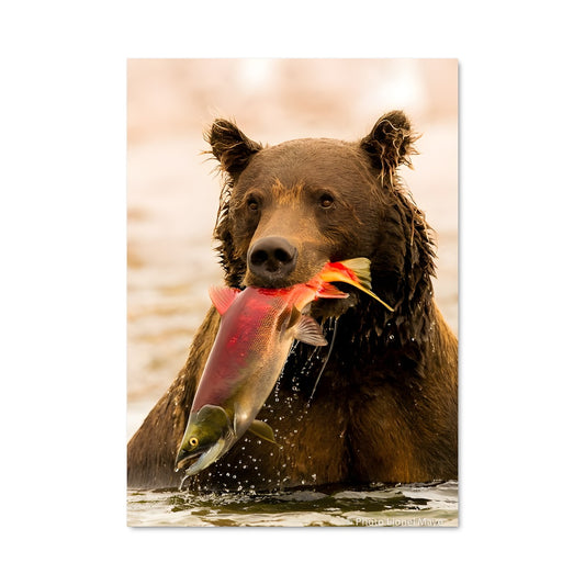 Poster Prise du Jour