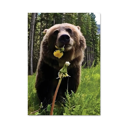 Poster Ours des Fleurs