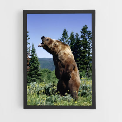 ap-grizzly bear-1 cadre Noir
