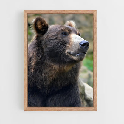 ap-grizzly bear-10 cadre Bois clair