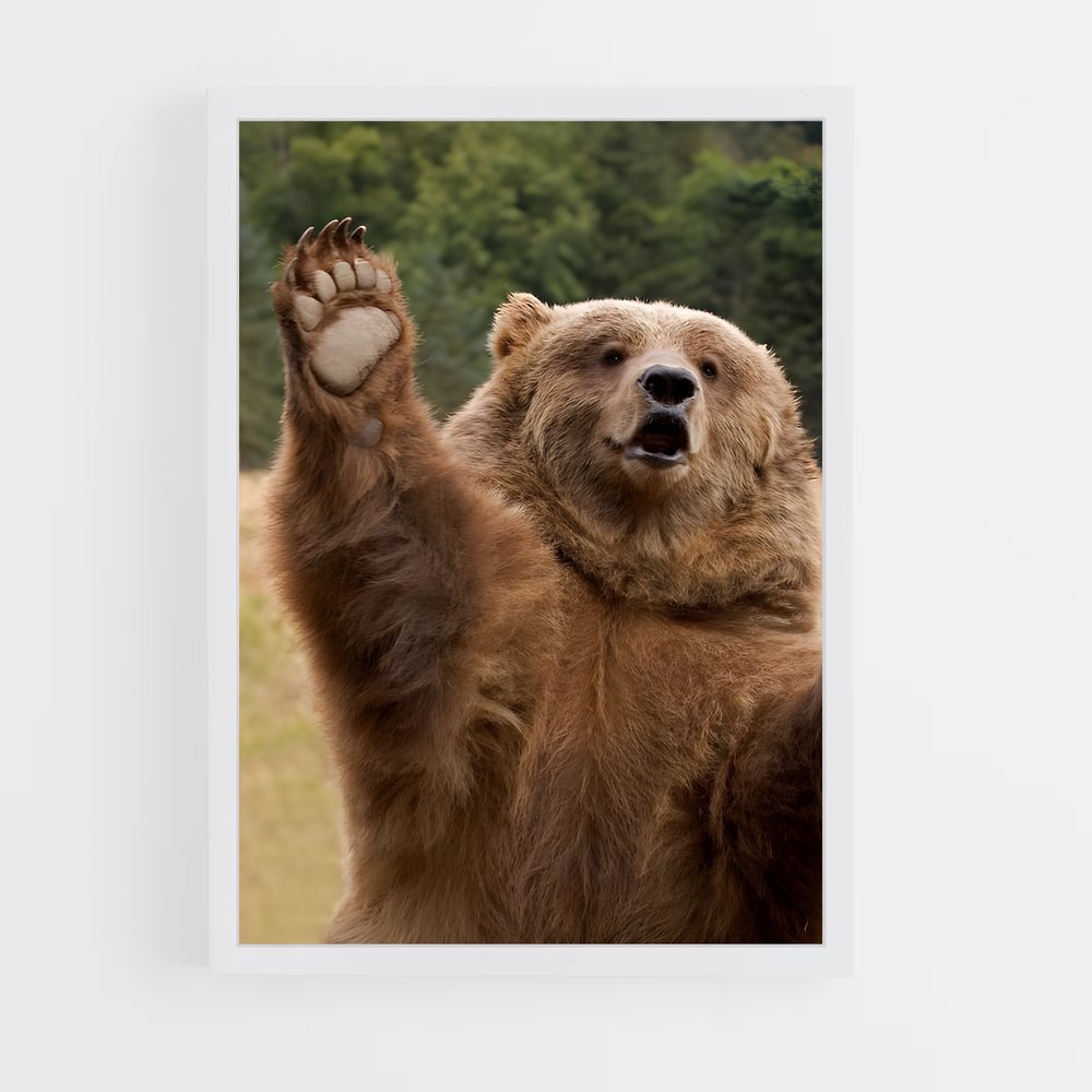 ap-grizzly bear-11 cadre Blanc