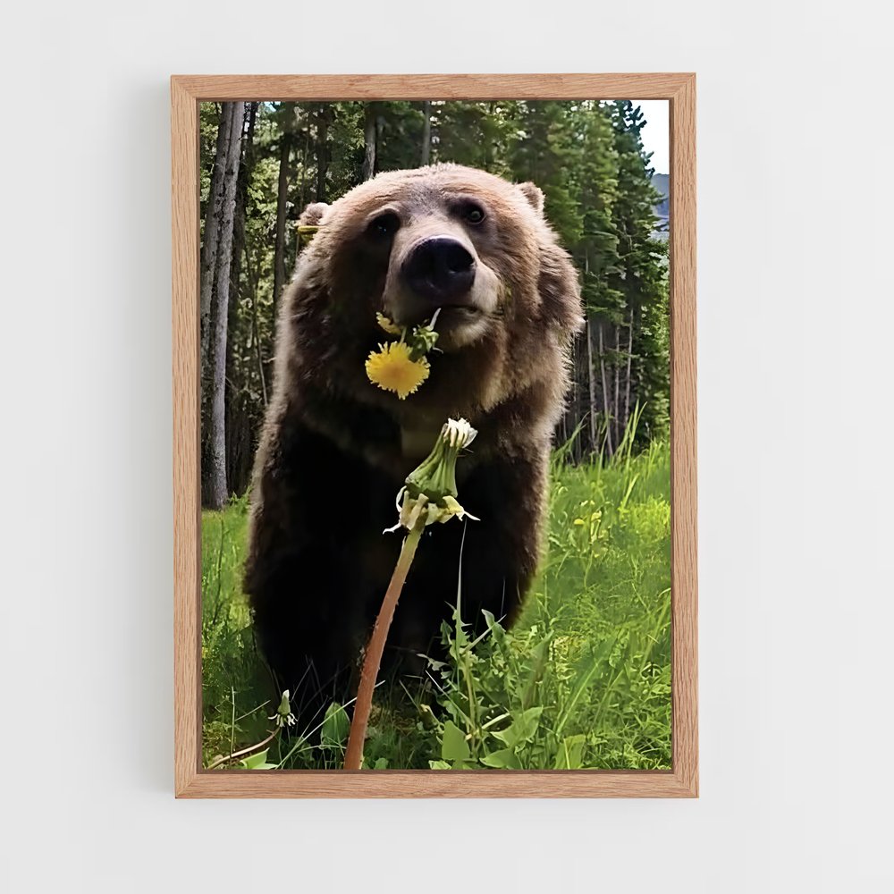 ap-grizzly bear-3 cadre Bois clair