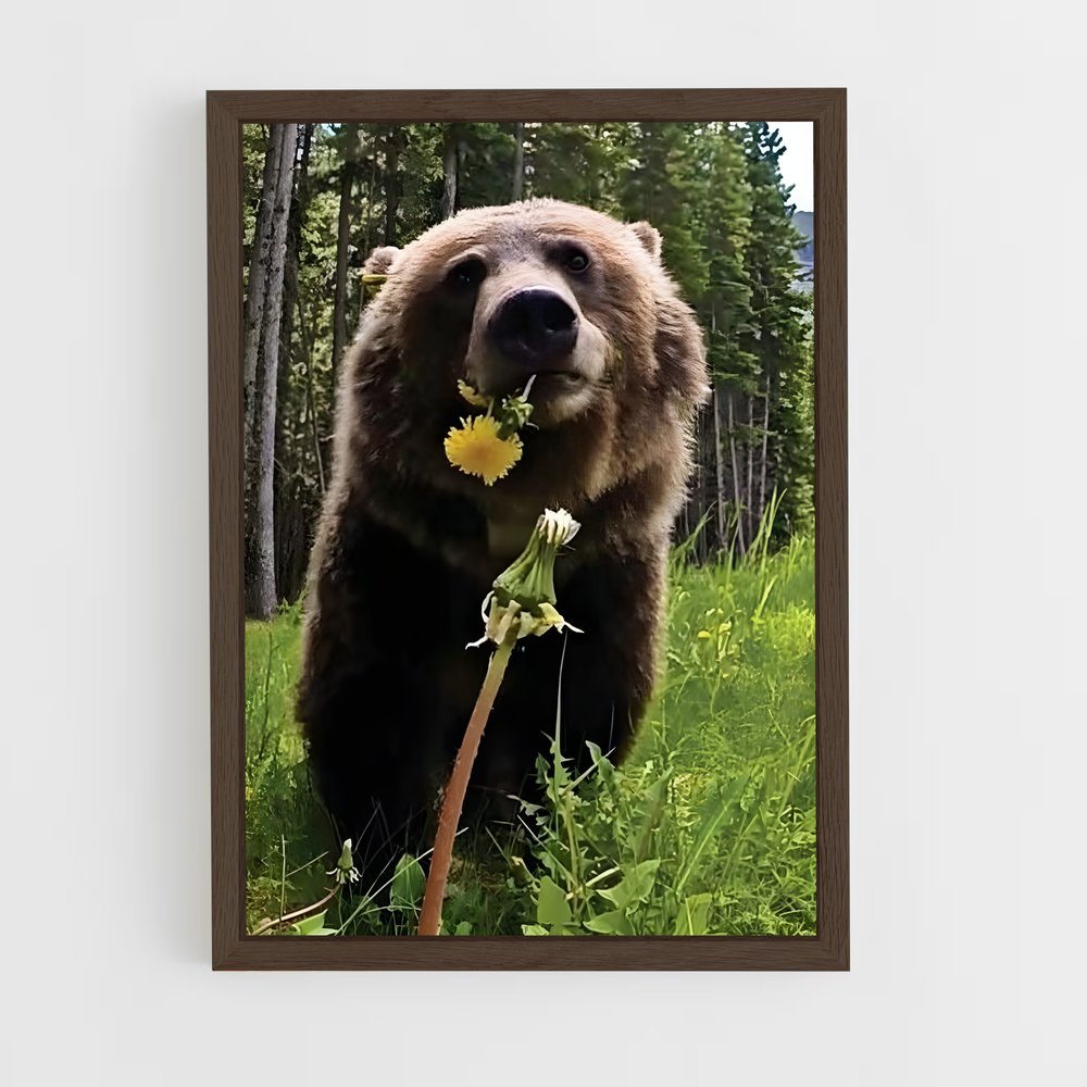 ap-grizzly bear-3 cadre Bois foncé