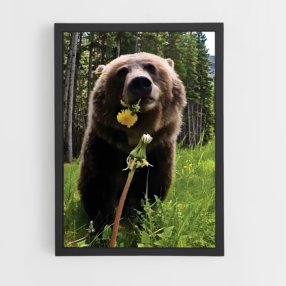 ap-grizzly bear-3 cadre Noir
