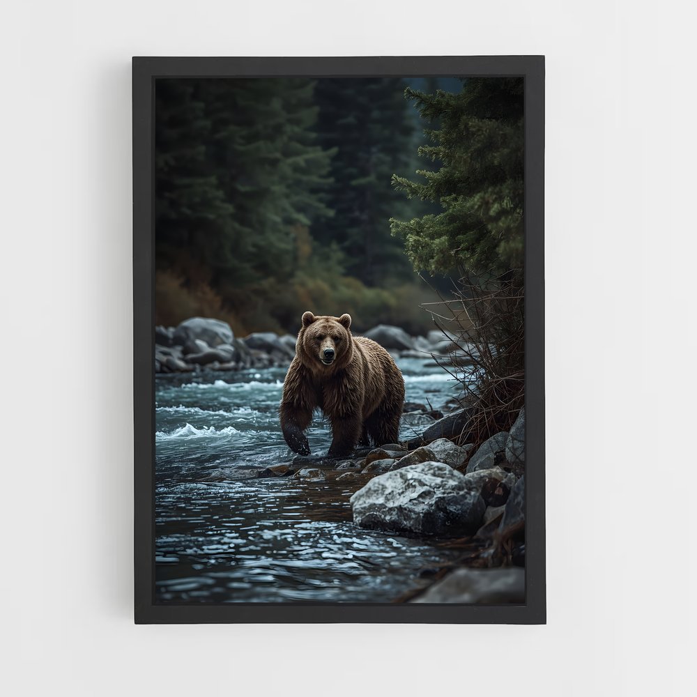 ap-grizzly bear-4 cadre Noir