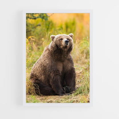 ap-grizzly bear-5 cadre Blanc