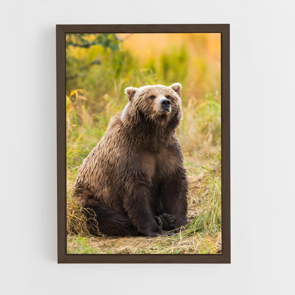 ap-grizzly bear-5 cadre Bois foncé