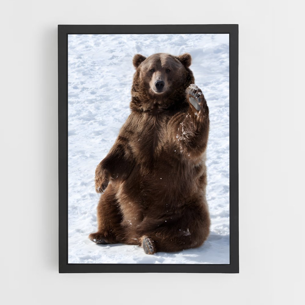 ap-grizzly bear-9 cadre Noir