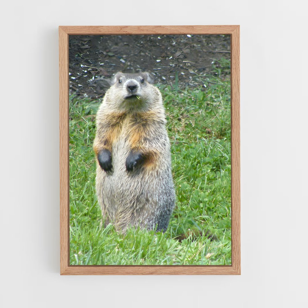 ap-groundhog-1 cadre Bois clair