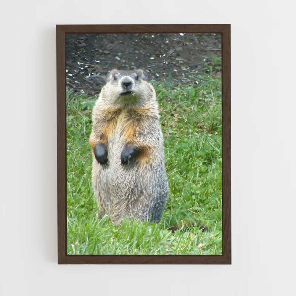 ap-groundhog-1 cadre Bois foncé
