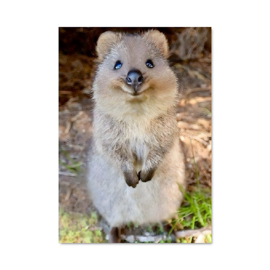 Poster La Petite Marmotte