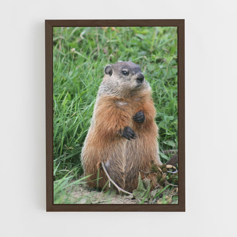 ap-groundhog-5 cadre Bois foncé