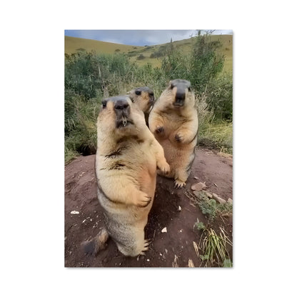 Poster Les Marmottes en Fête