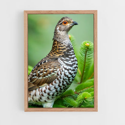 ap-grouse-1 cadre Bois clair