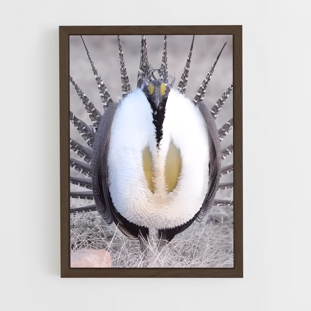 ap-grouse-3 cadre Bois foncé