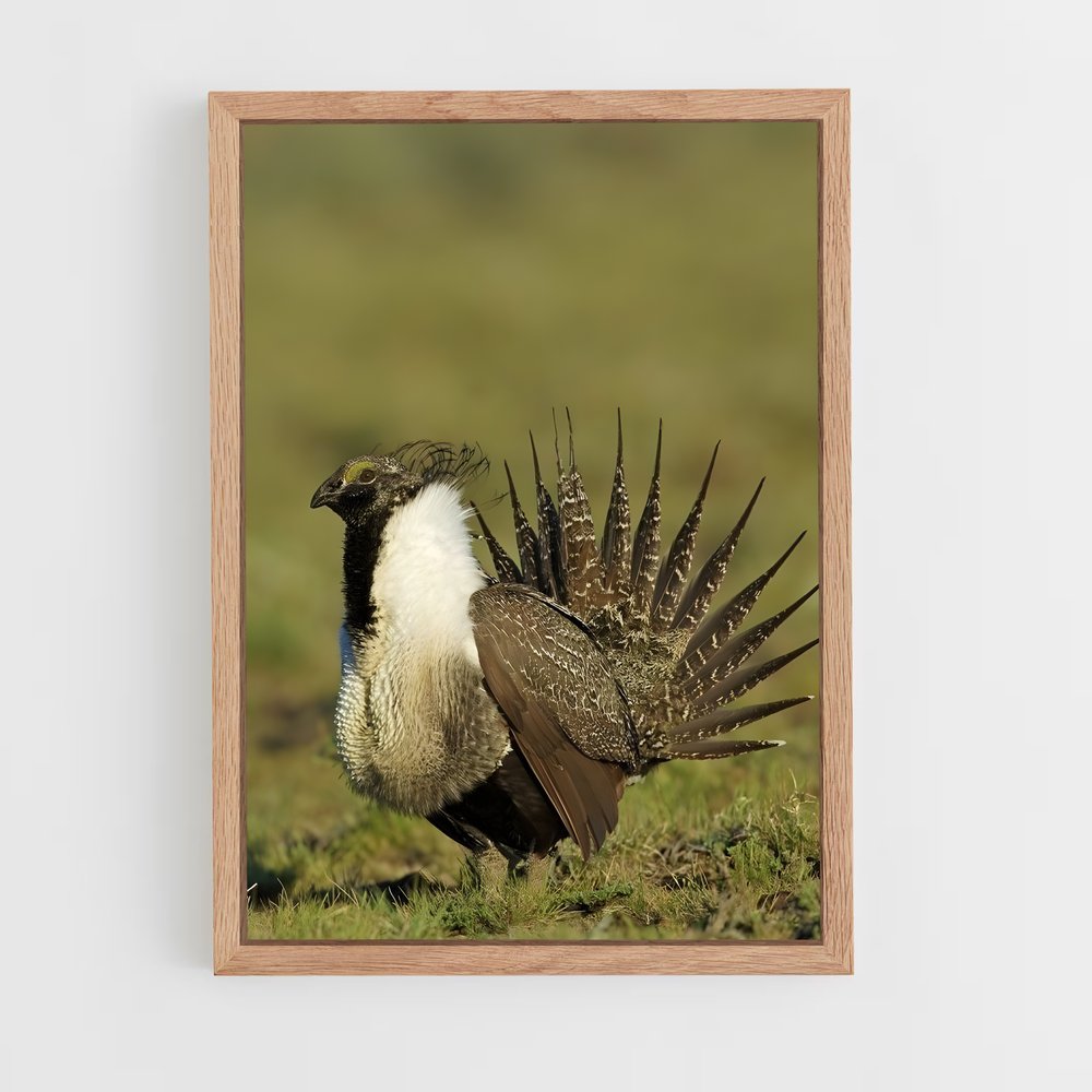 ap-grouse-4 cadre Bois clair