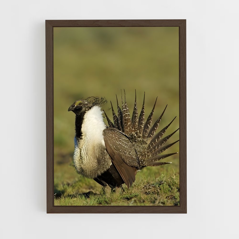 ap-grouse-4 cadre Bois foncé