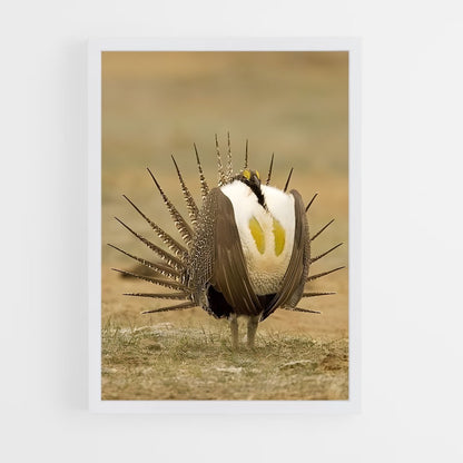 ap-grouse-5 cadre Blanc