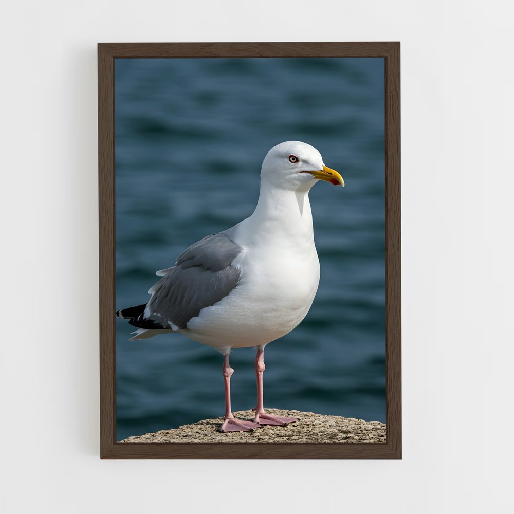 ap-gull-4 cadre Bois foncé