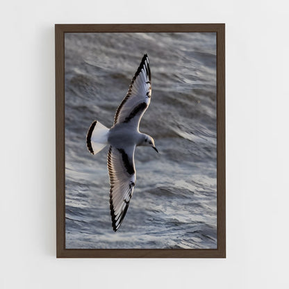 ap-gull-6 cadre Bois foncé