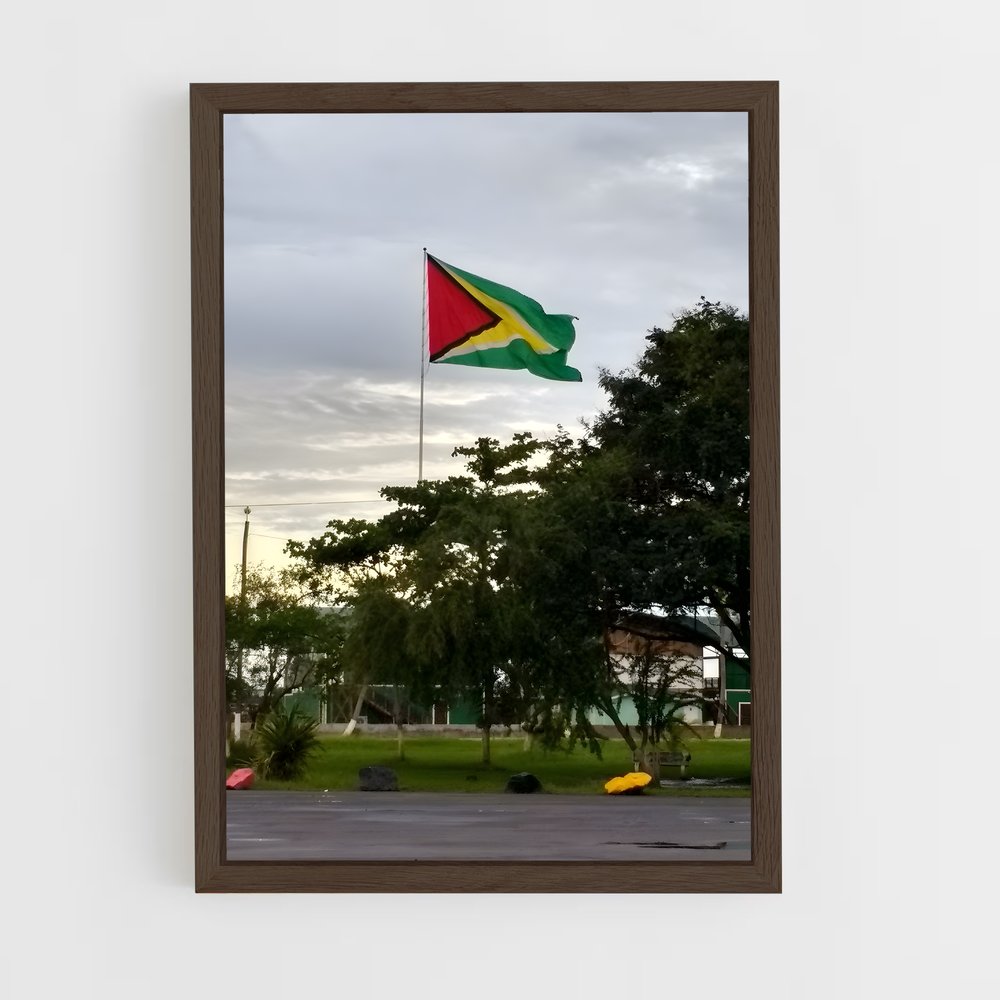 ap-guyana flag-1 cadre Bois foncé