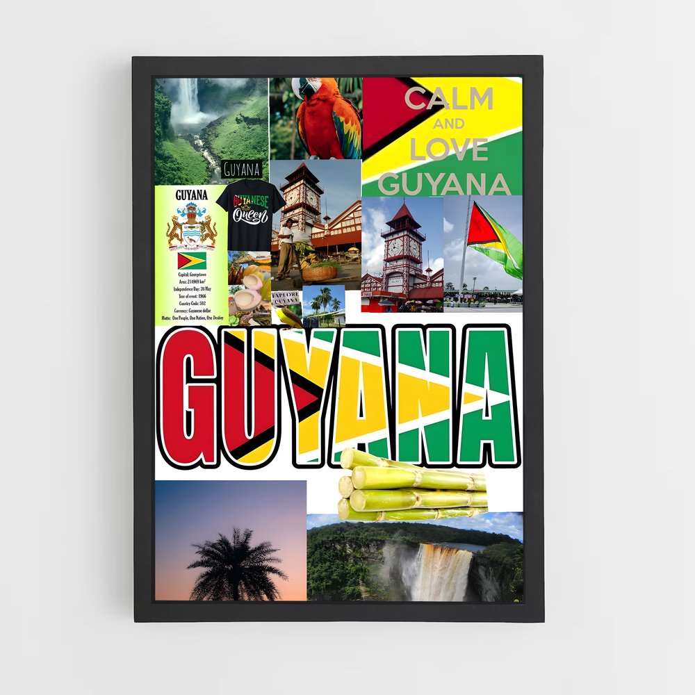 ap-guyana flag-2 cadre Noir