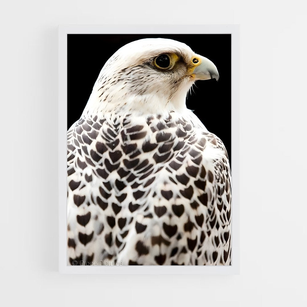 ap-gyrfalcon-3 cadre Blanc