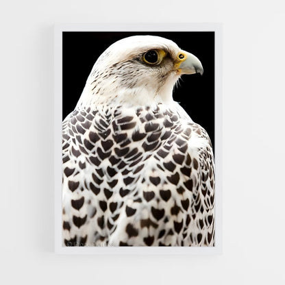ap-gyrfalcon-3 cadre Blanc