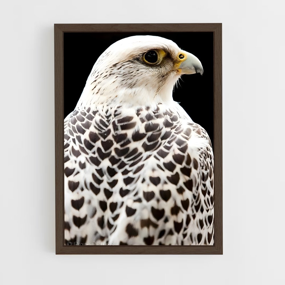 ap-gyrfalcon-3 cadre Bois foncé