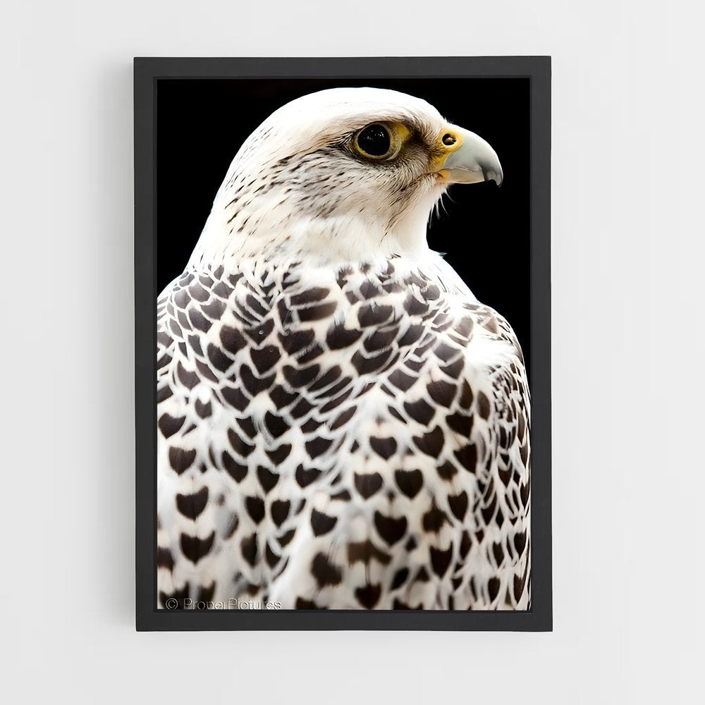 ap-gyrfalcon-3 cadre Noir
