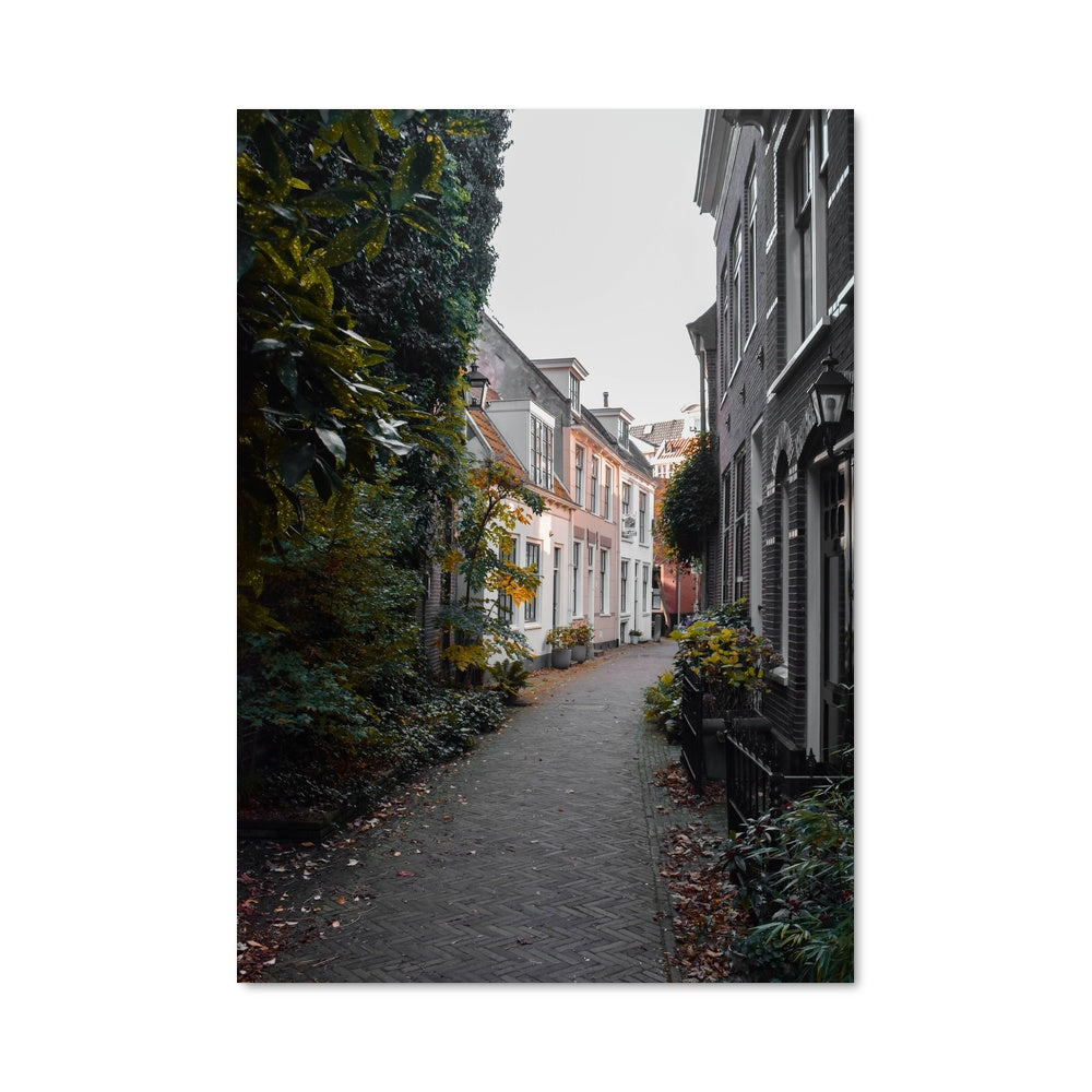 Poster Ruelle de Haarlem