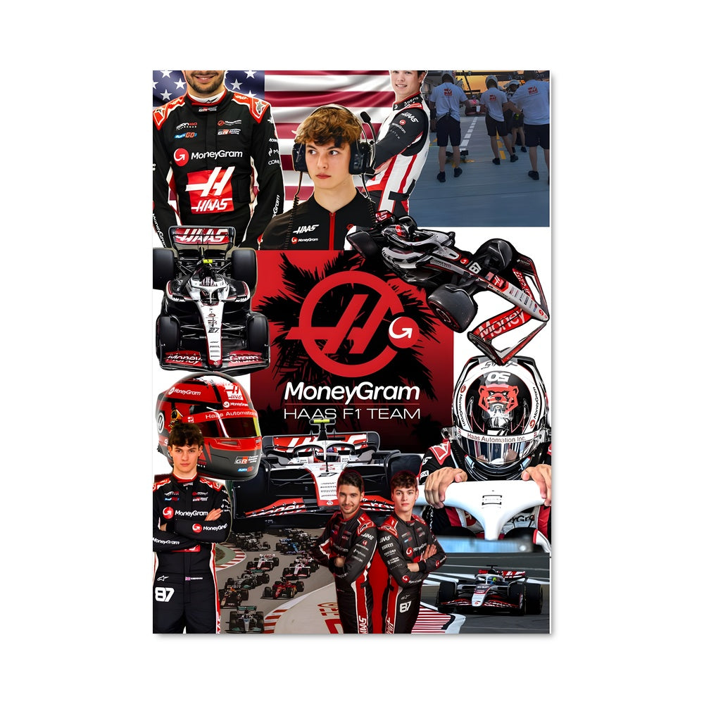 Poster Haas f1 team 63309