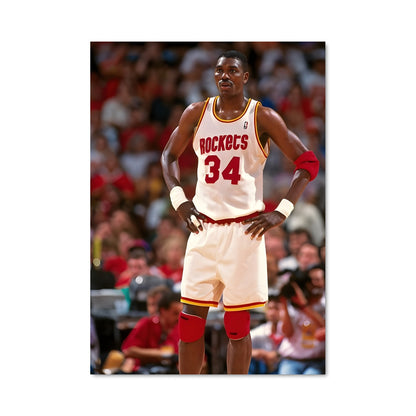 Poster Dream Shake