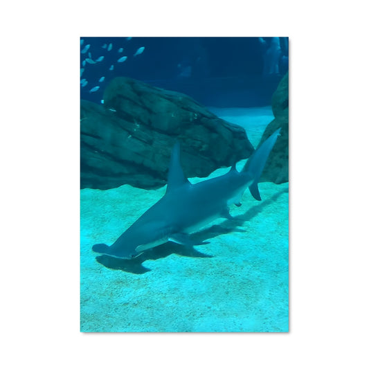 Poster L'ombre du Marteau