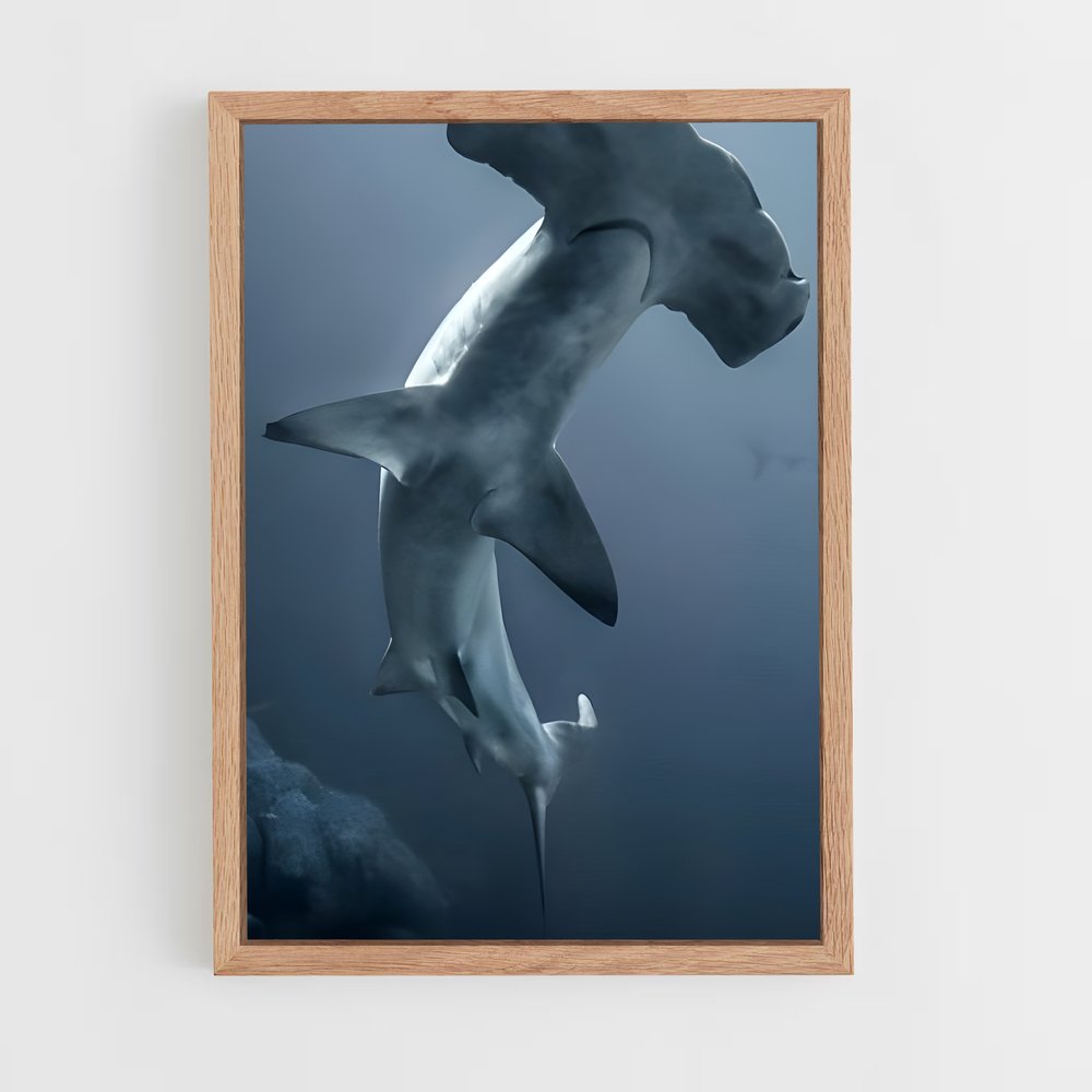 ap-hammerhead shark-2 cadre Bois clair