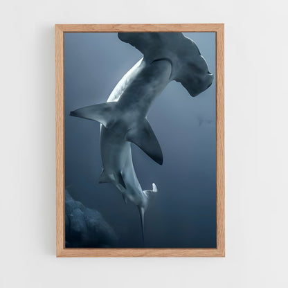ap-hammerhead shark-2 cadre Bois clair
