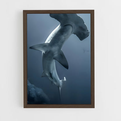 ap-hammerhead shark-2 cadre Bois foncé