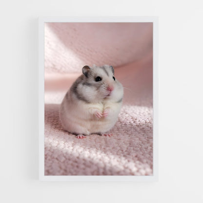 ap-hamster-1 cadre Blanc