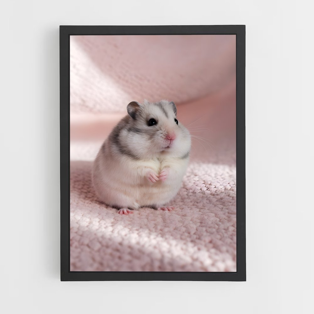 ap-hamster-1 cadre Noir