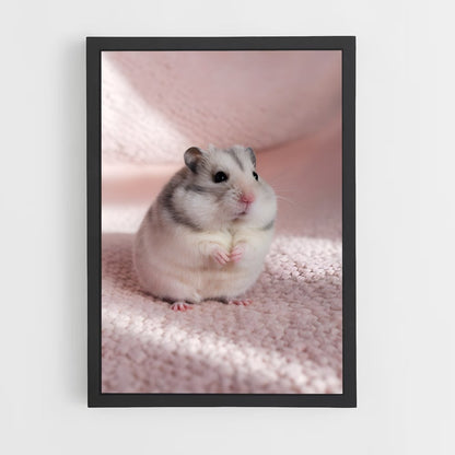 ap-hamster-1 cadre Noir