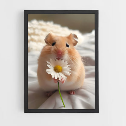 ap-hamster-2 cadre Noir