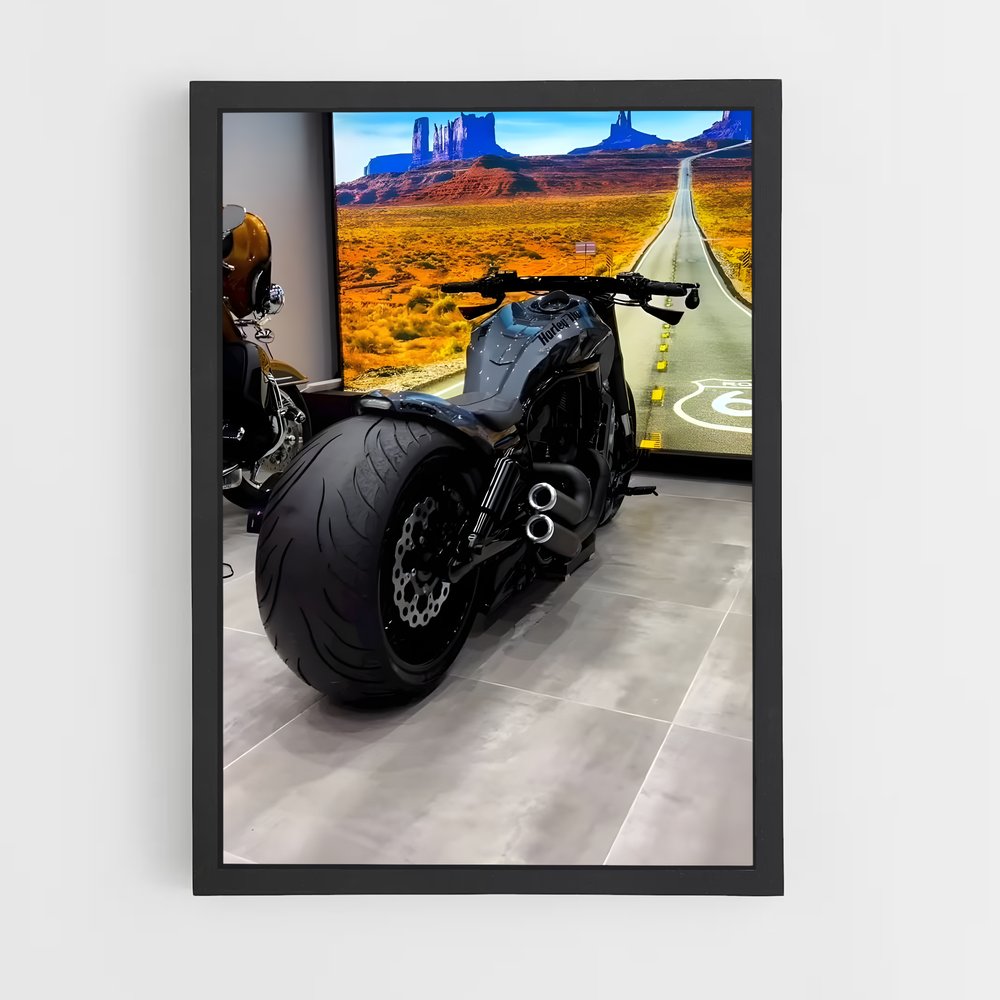 ap-harley davidson-5 cadre Noir