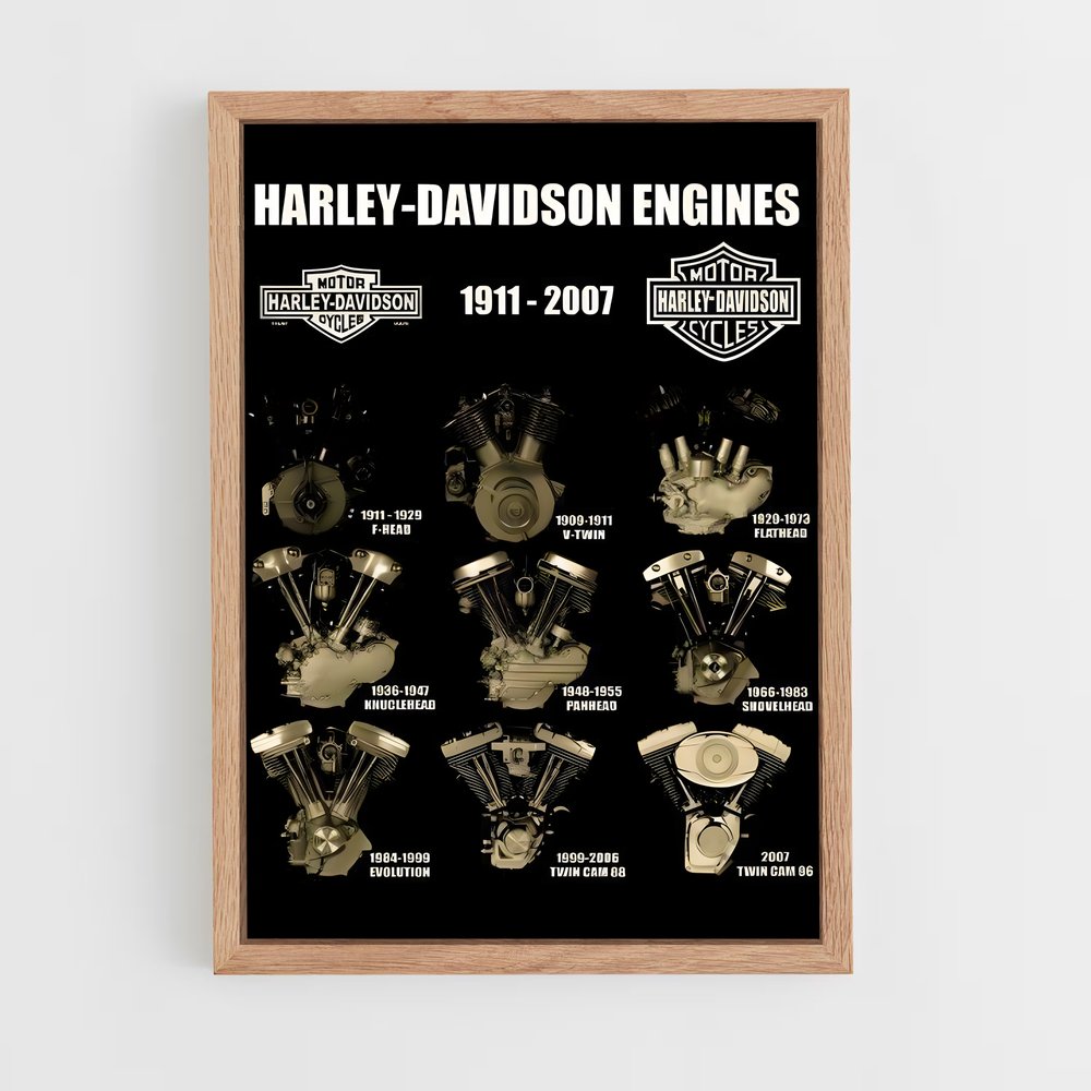 ap-harley davidson-7 cadre Bois clair