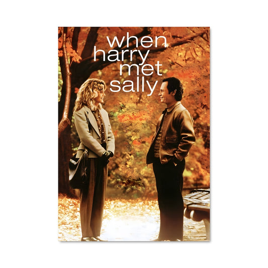 Poster Quand Harry Rencontre It