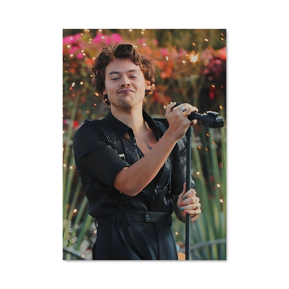 Poster On Stage with Harry