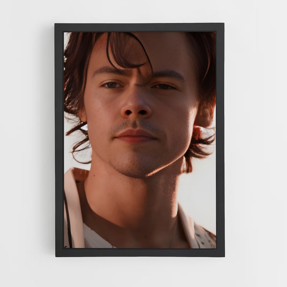 ap-harry styles-10 cadre Noir