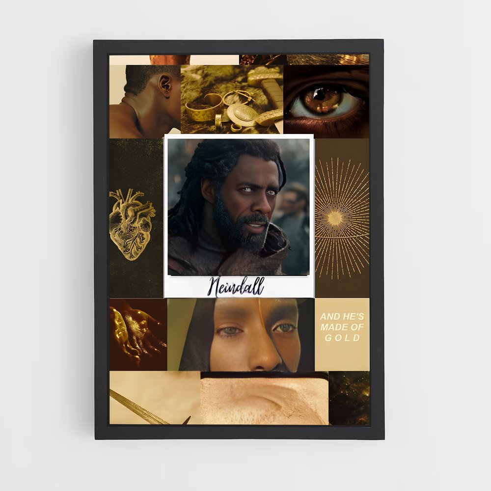 ap-heimdall-11 cadre Noir